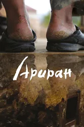 Ариран 2011 постер