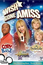 Wish Gone Amiss постер