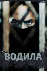 Водила 2020 постер