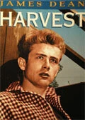 Постер Жатва 1953