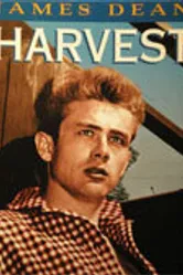 Жатва 1953 постер