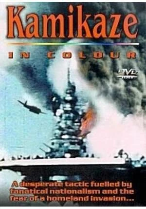 Постер Камикадзе в цвете 2002