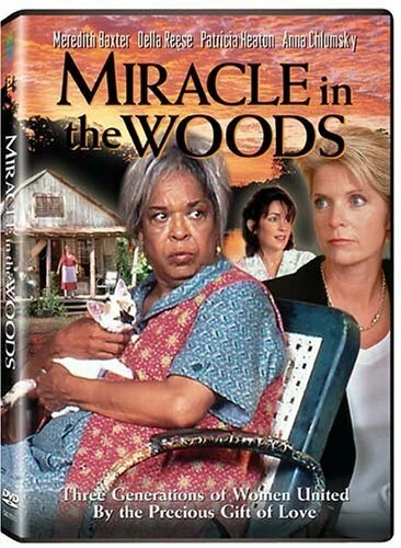 Постер Miracle in the Woods