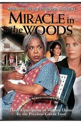 Miracle in the Woods постер