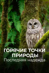 Горячие точки природы. Последняя надежда 2018 постер
