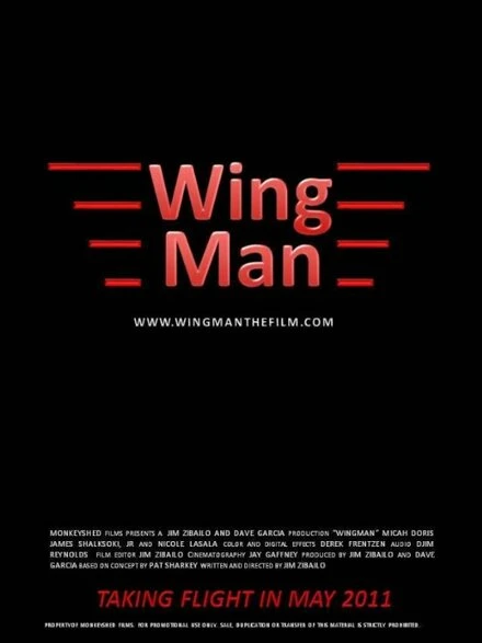 Постер Wingman 2010