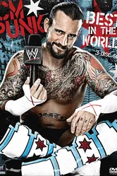 WWE: CM Punk - Best in the World постер
