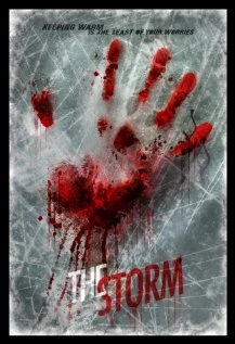 Постер The Storm 2013