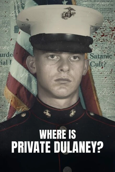 Постер Where Is Private Dulaney?