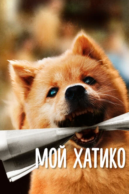Постер Мой Хатико 2023