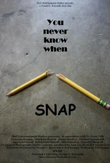 Постер Snap 2011