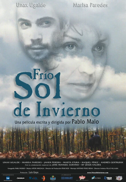 Постер Холодное зимнее солнце 2004