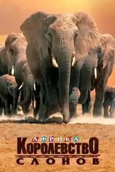 Африка — королевство слонов 1998 постер