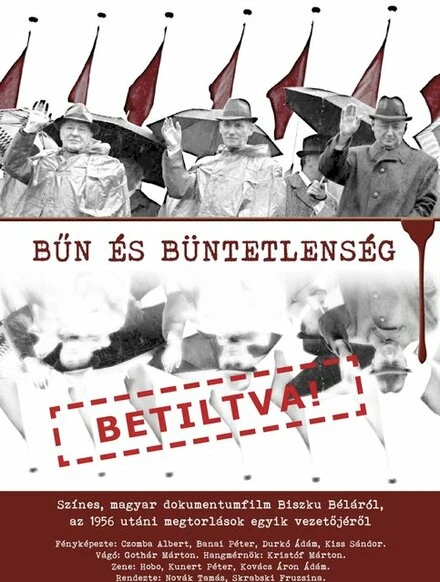 Постер Преступление и безнаказанность 2010