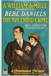 The Splendid Crime постер