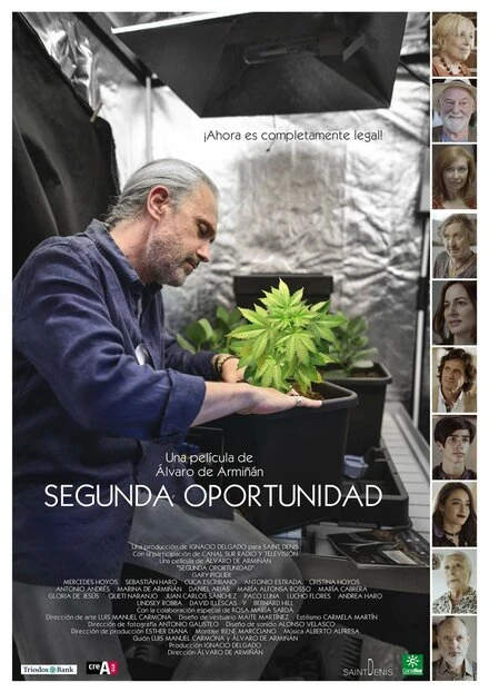 Постер Segunda oportunidad