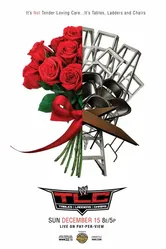 WWE ТЛС: Столы, лестницы и стулья 2010 постер