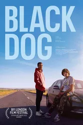 Black Dog 2023 постер