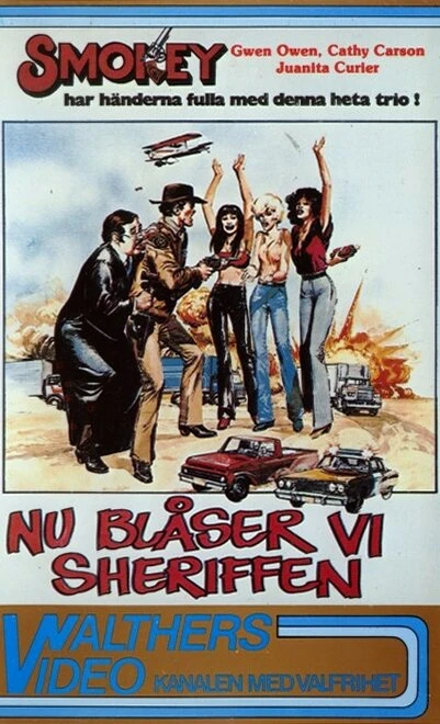 Постер Smokey and the Judge