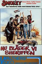 Smokey and the Judge постер