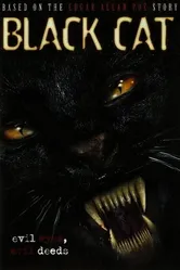Черная кошка 2004 постер