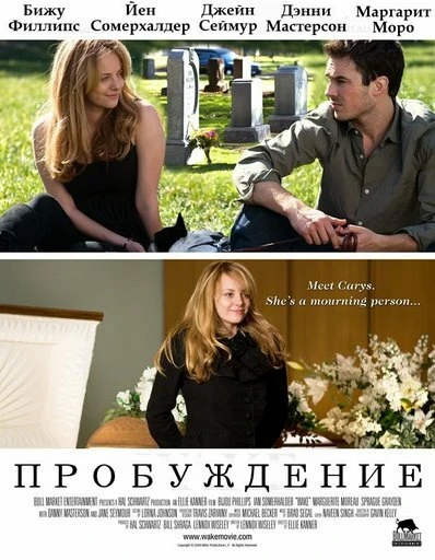 Постер Пробуждение 2009