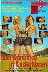 Две датчанки в кожаных штанах 1979 постер