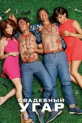 Свадебный угар 2016 постер