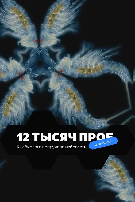 Постер 12 тысяч проб 2022