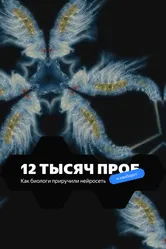 12 тысяч проб 2022 постер