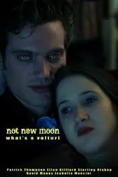 Not New Moon. What's a Volturi? постер