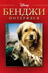 Бенджи потерялся 1987 постер