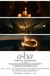 a-ha: True North постер