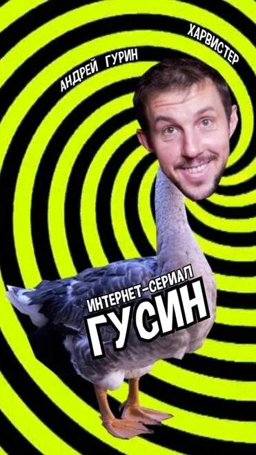 Постер Гусин 2018