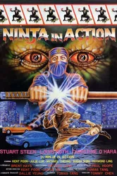Ninja in Action постер