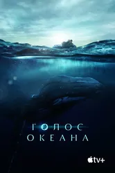 Голос океана 2021 постер