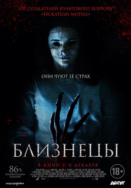 Постер Близнецы 2017