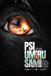Psi umiru sami постер