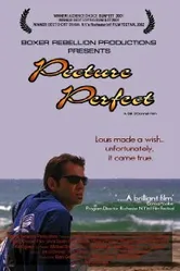 Picture Perfect 2002 постер