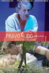 Pravo cudo постер