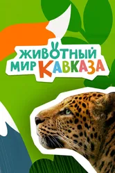 Животный мир Кавказа 2022 постер