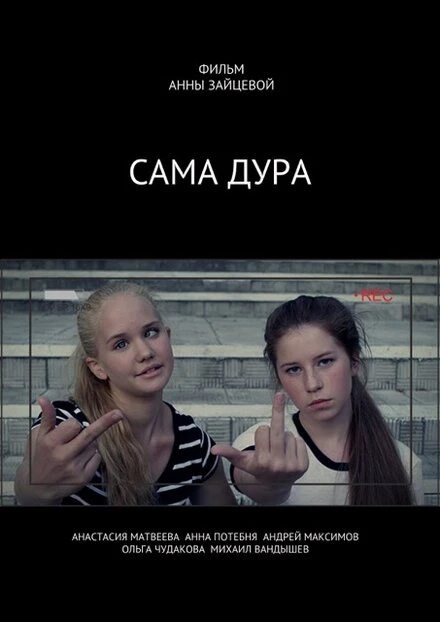 Постер Сама дура! 2016