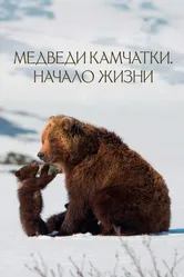 Медведи Камчатки. Начало жизни 2018 постер