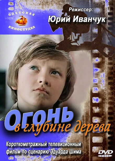 Постер Огонь в глубине дерева 1978