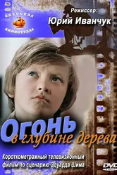Огонь в глубине дерева 1978 постер