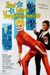 Две синих незабудки 1963 постер