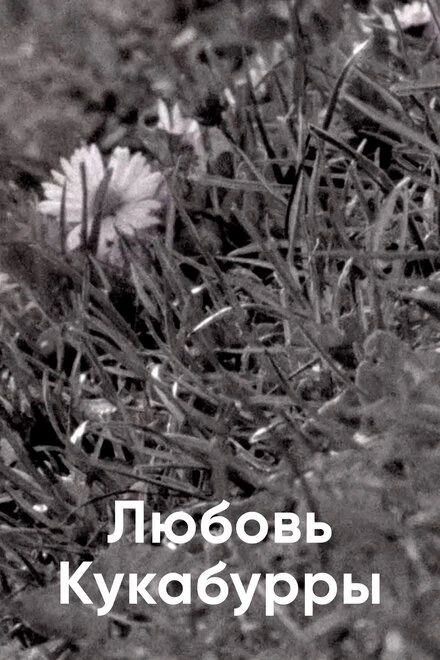 Постер Любовь Кукабурры 2014