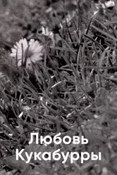 Любовь Кукабурры 2014 постер
