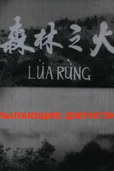 Пылающие джунгли 1965 постер