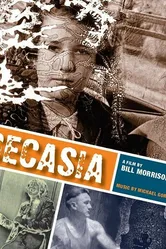 Деказия: Состояние разложения 2002 постер
